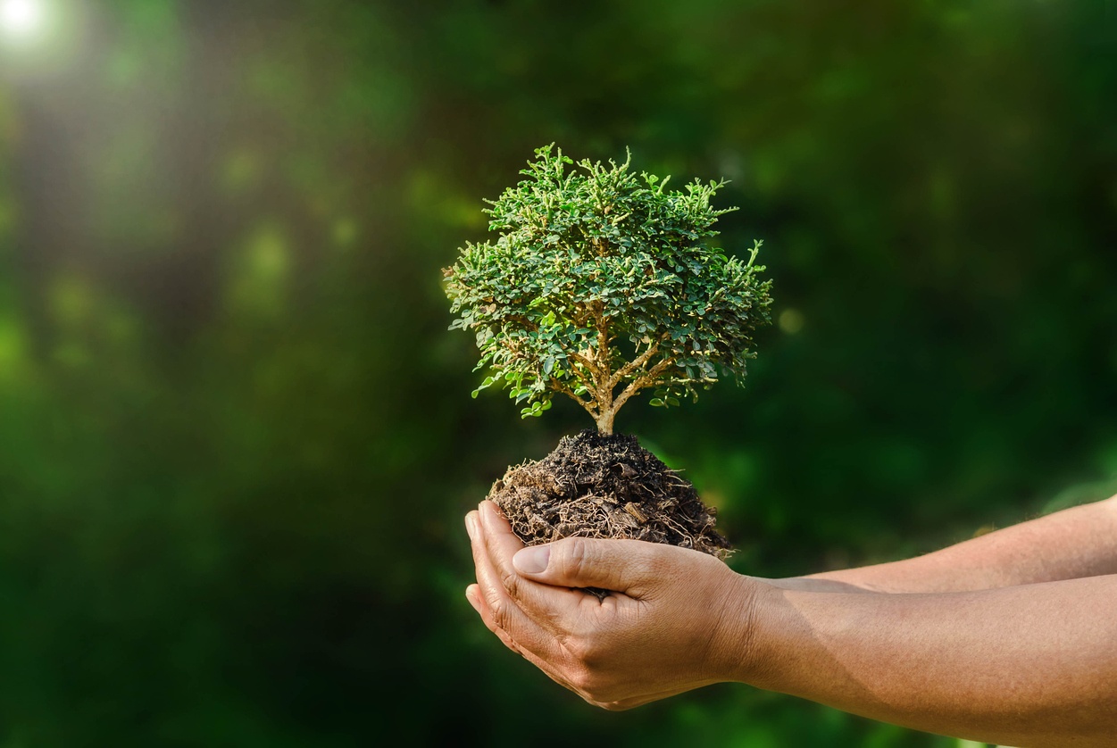 Beneficios de la epidemia de covid-19 para el medioambiente