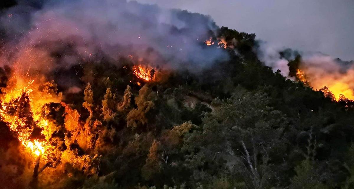 Director regional de la Onemi «Solo la lluvia detendría el incendio en Molina.