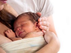 Imagen gentileza: serpadres.cl