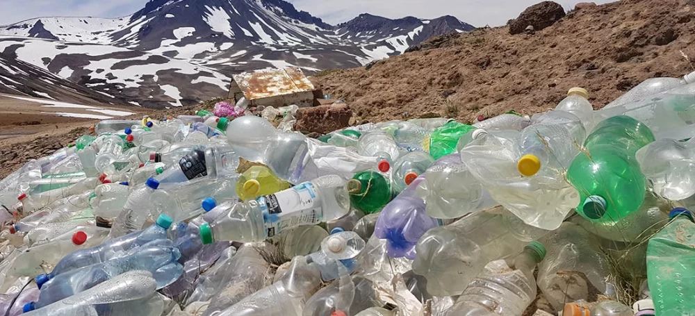 Un riesgo es que la fauna local termine comiendo desperdicios