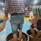 El Liceo Diego Portales de Linares Celebró la Vendimia 2026: Un Homenaje a las Raíces del Melozal y la Tradición