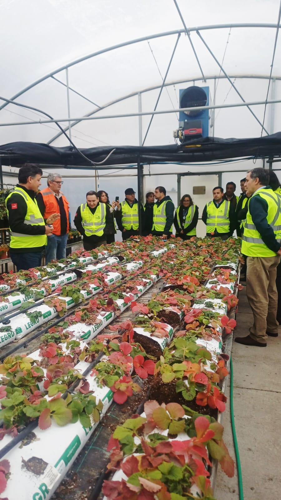 Innovación con sello regional: autoridades destacan a SynergiaBIO, empresa apoyada por FIA y referente en innovación agrícola