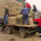 Municipio de Yerbas Buenas: 𝙘𝙤𝙢𝙚𝙣𝙯ó 𝙝𝙞𝙨𝙩ó𝙧𝙞𝙘𝙖 𝙚𝙣𝙩𝙧𝙚𝙜𝙖 𝙙𝙚 5.000 𝙛𝙖𝙧𝙙𝙤𝙨 a pequeños agricultores y crianceros